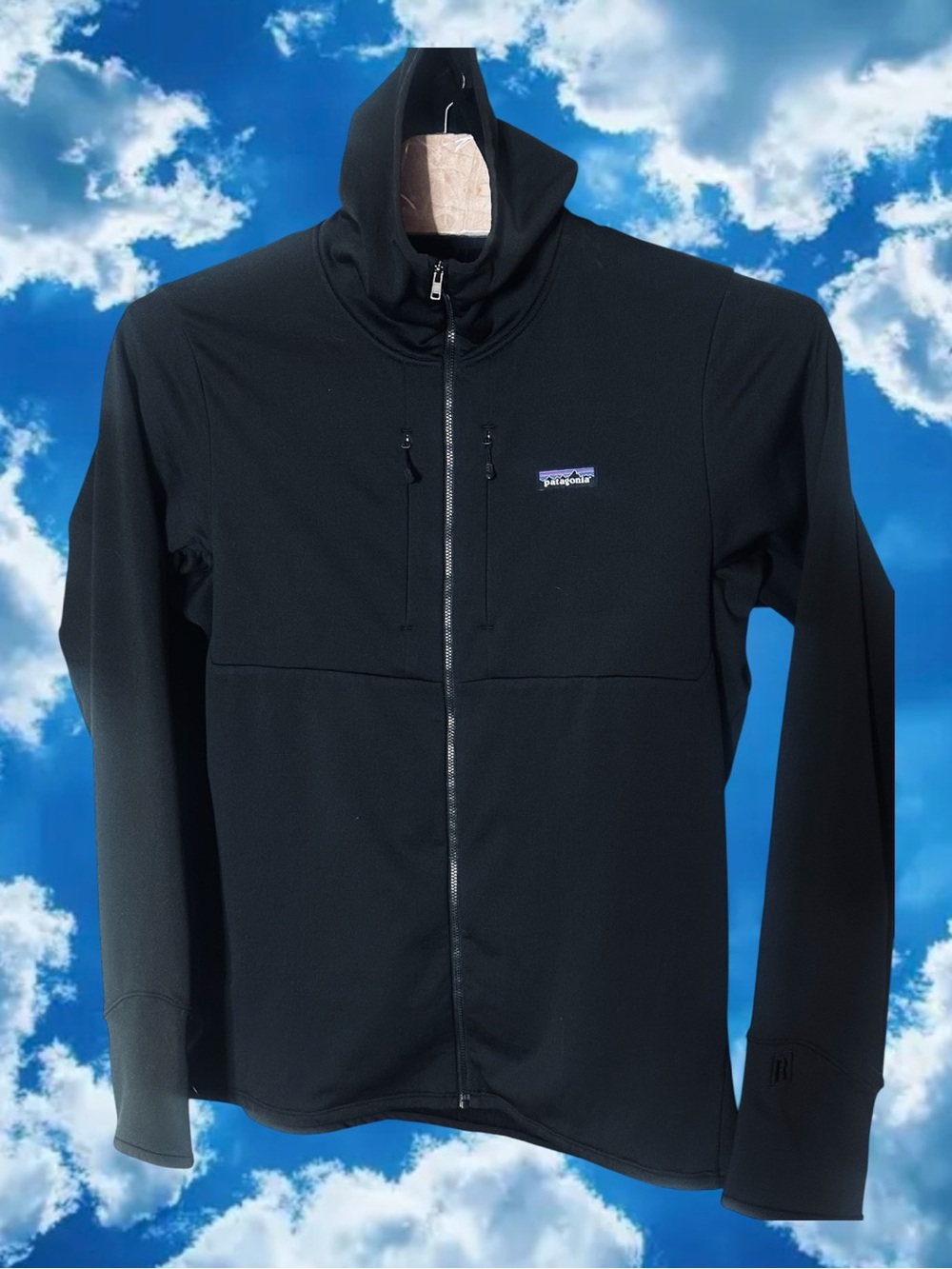 Patagonia Men's R1 Thermal Fleece Full-Zip Hoody Hooded Jacket Black XL
EUC - Picture 5 of 16